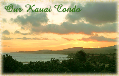 Ocean front condo rental in Hawaii